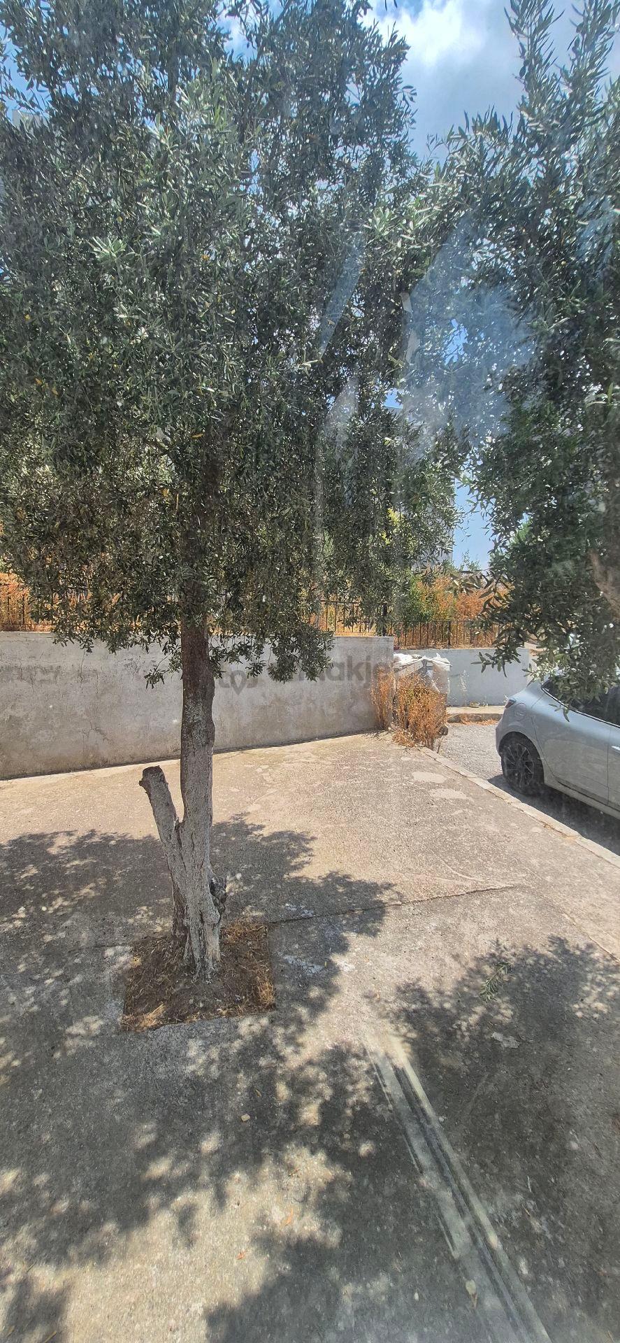 Bornova Evka-4 De 2+1 Satılık Daire.. - 19