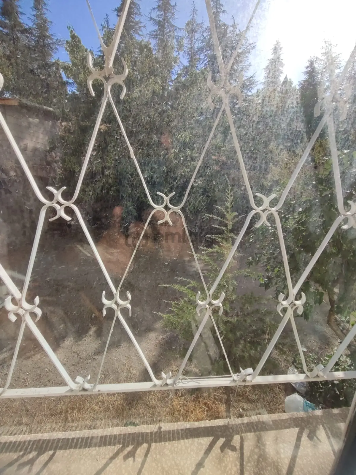 Zafer Mah Kiralık Doğalgazlı 3+1 Daire - 22