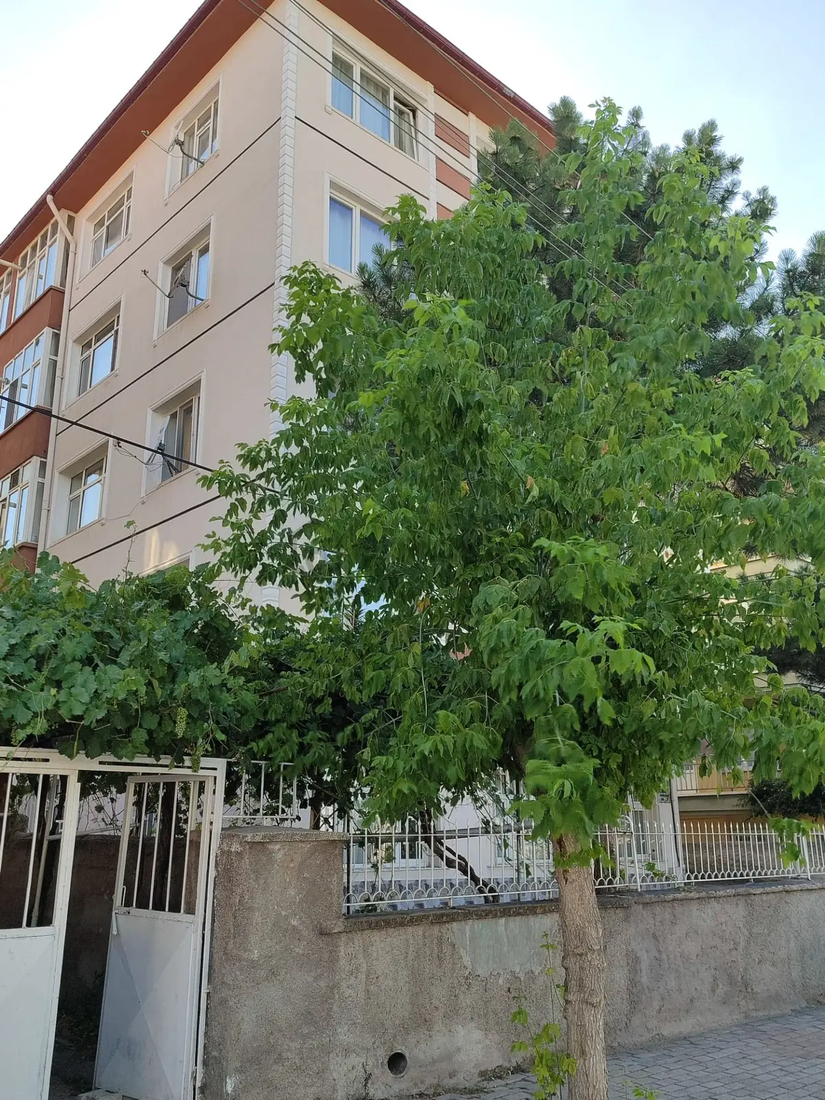 Zafer Mah Kiralık Doğalgazlı 3+1 Daire - 24