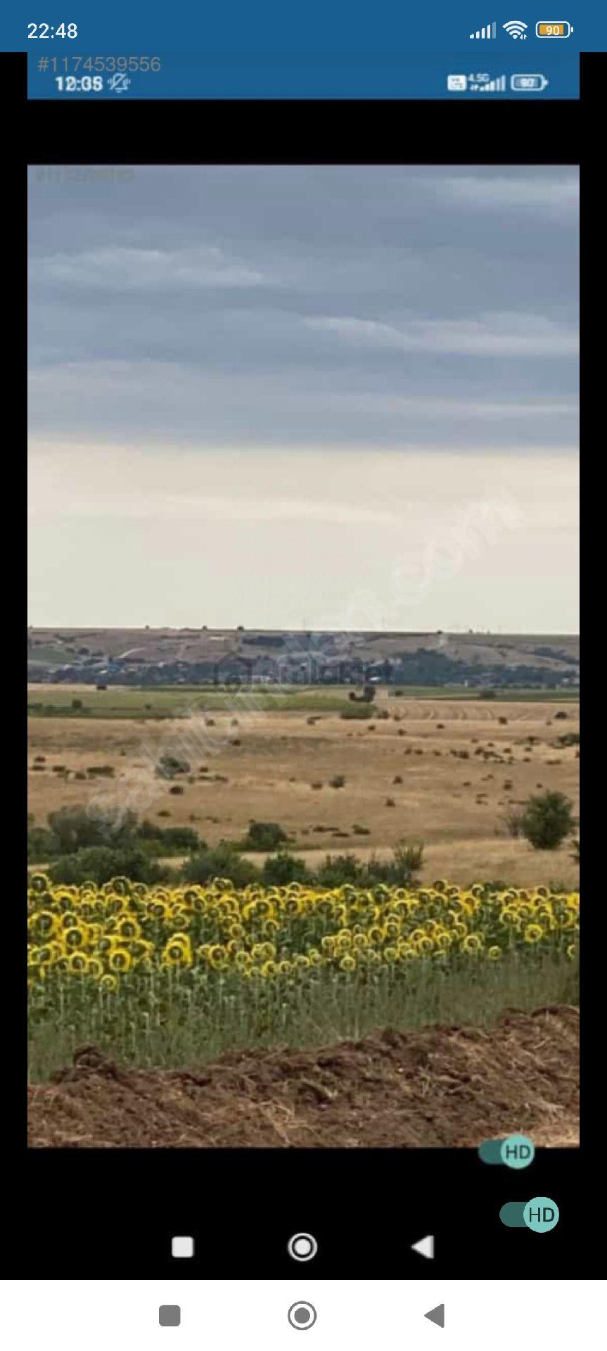 Sahibinden Edirne Havza Bostanlı - 6