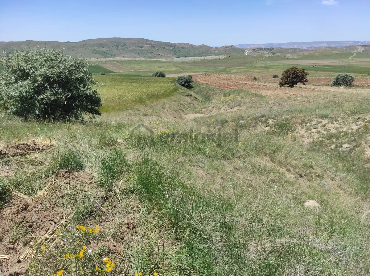 Sahibinden Bingol Koyu 10360 Metre Kare Tarla - 5