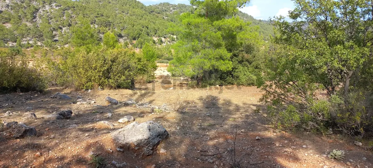 Karaseki Köyü 1400 M² Müstakil Tapu - 8
