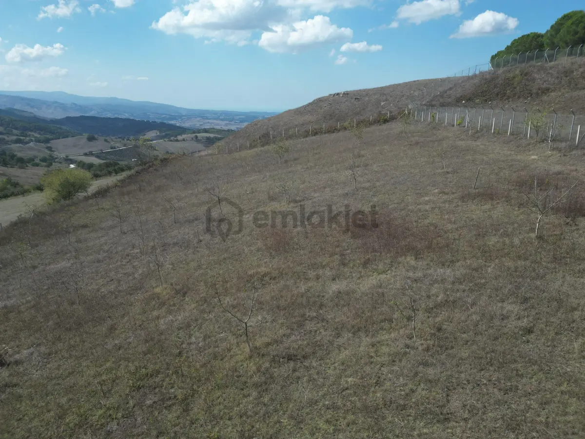 Kocaeli Karamürsel Fulacık Satılık 4985 M2 Tarla - 8