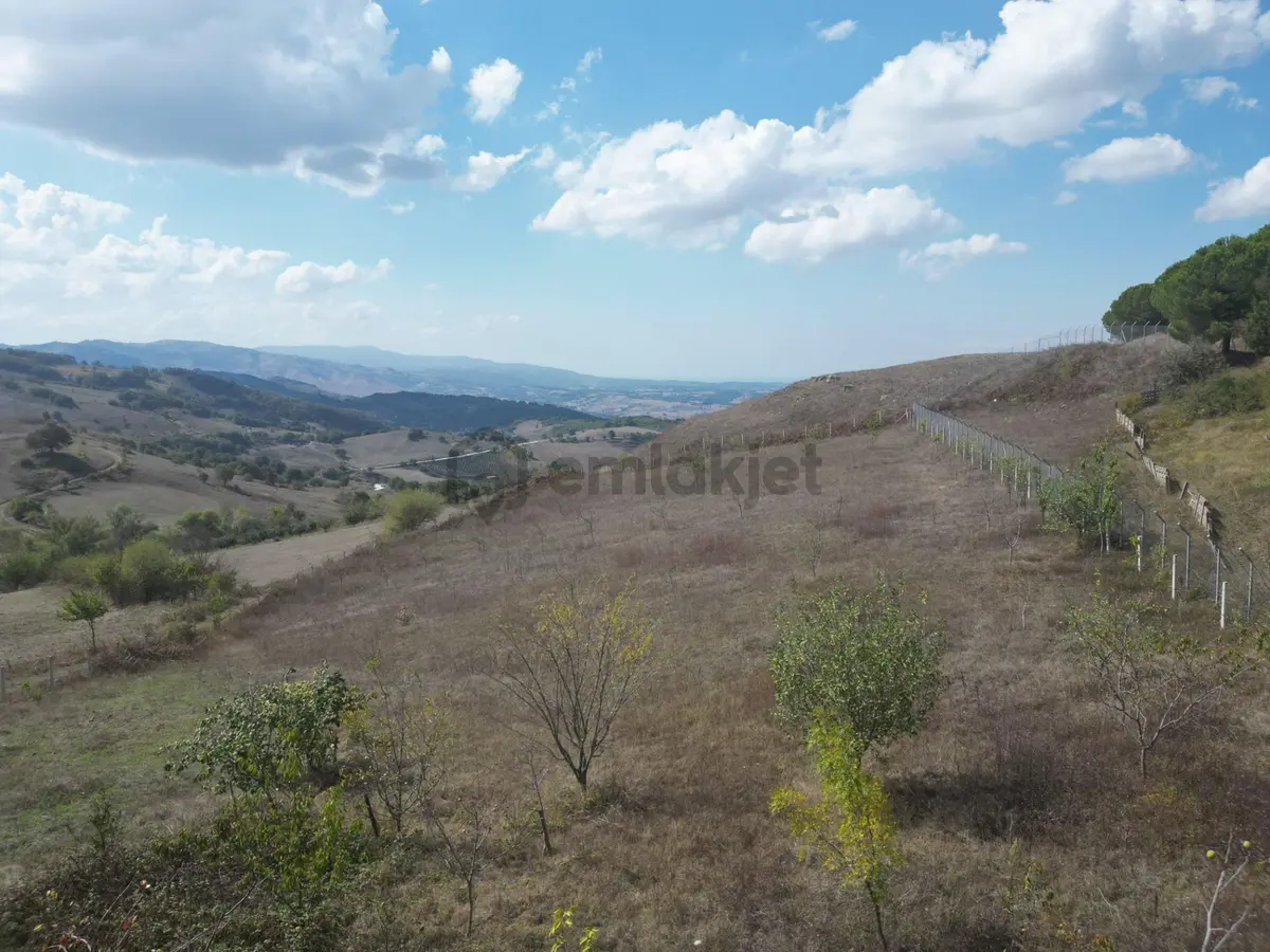 Kocaeli Karamürsel Fulacık Satılık 4985 M2 Tarla - 3