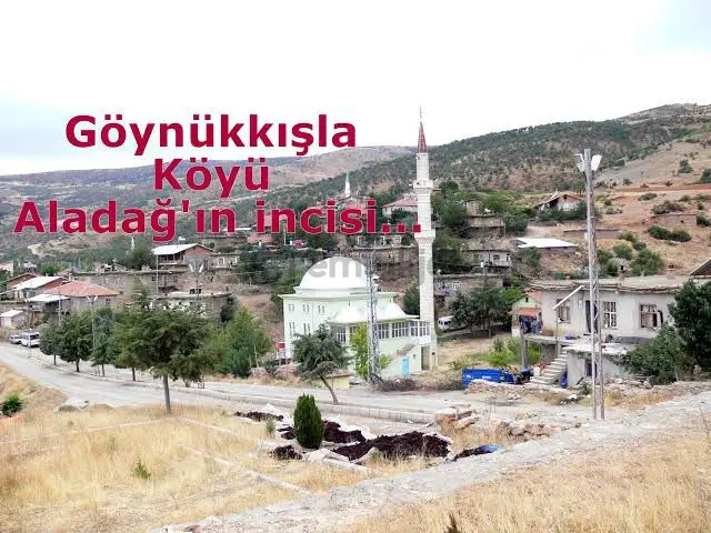 Konya Hadim Müstakil Ev Arsa - 2