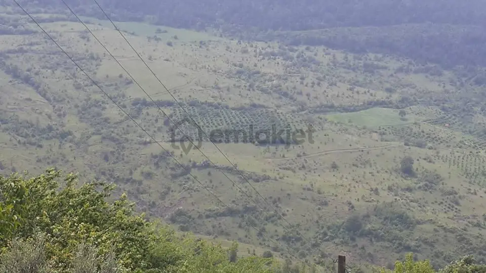 Sakarya Sahibinden Satılık Arazi - 5