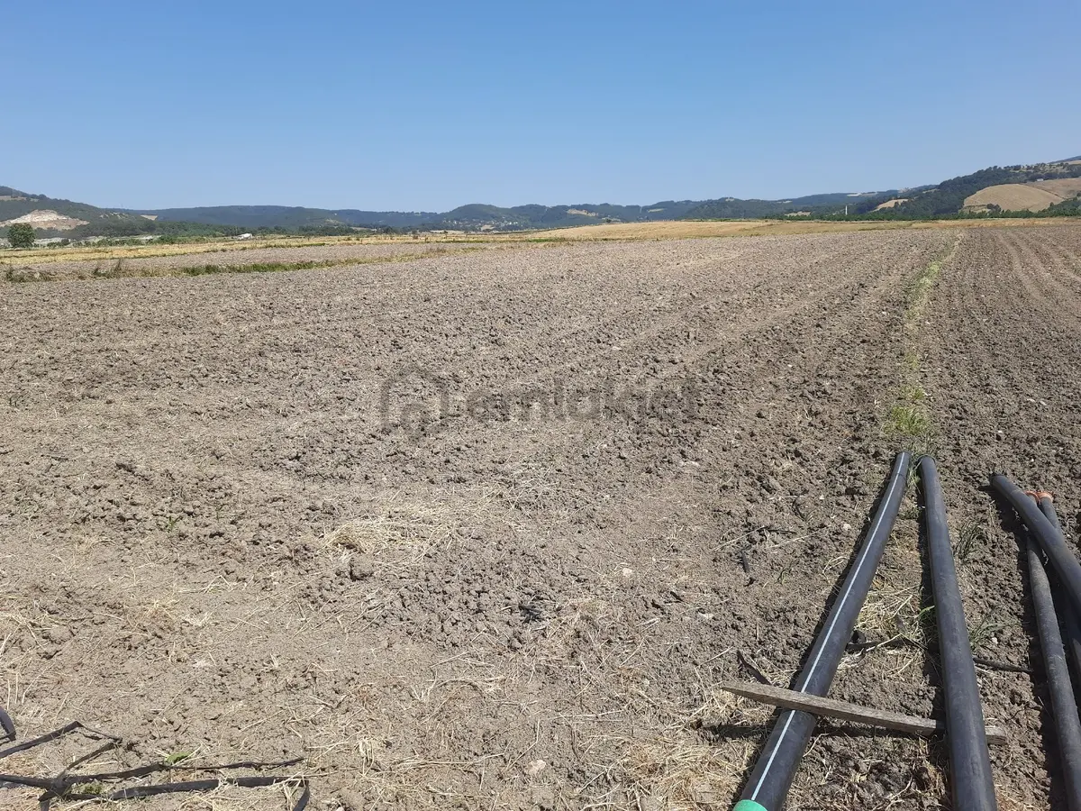 Sahibinden Tütüncü Köyünde Tarla, 7087 M2 - 8