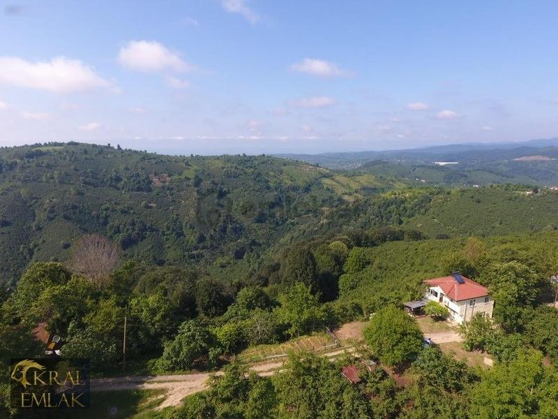 Deredibi Köyü İçinde Evi Olan 19.000 M2 Satılık Fındık Bahçesi - 24