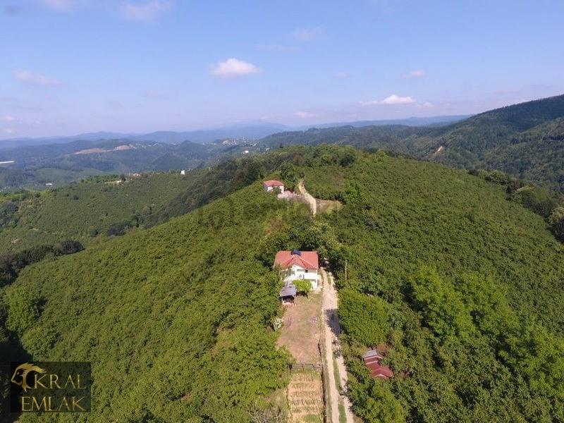 Deredibi Köyü İçinde Evi Olan 19.000 M2 Satılık Fındık Bahçesi - 12