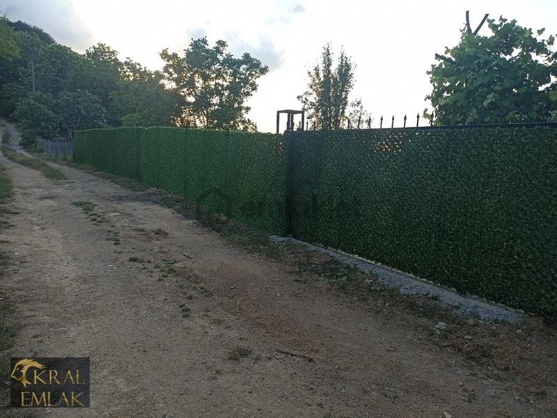 Deredibi Köyü İçinde Evi Olan 19.000 M2 Satılık Fındık Bahçesi - 35