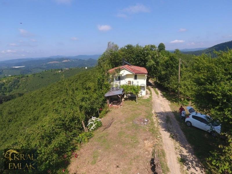 Deredibi Köyü İçinde Evi Olan 19.000 M2 Satılık Fındık Bahçesi - 28