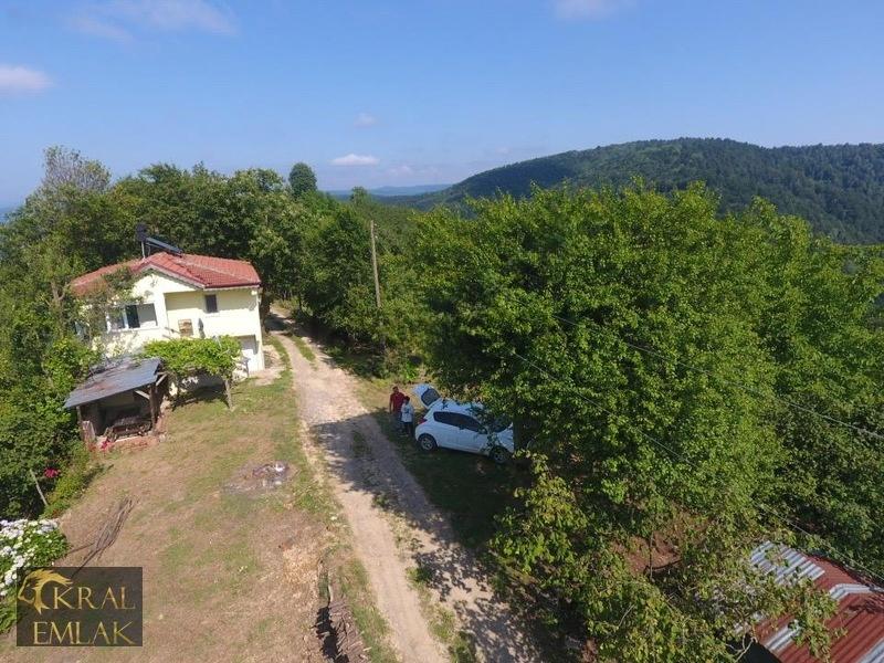 Deredibi Köyü İçinde Evi Olan 19.000 M2 Satılık Fındık Bahçesi - 14