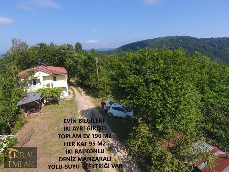 Deredibi Köyü İçinde Evi Olan 19.000 M2 Satılık Fındık Bahçesi - 6