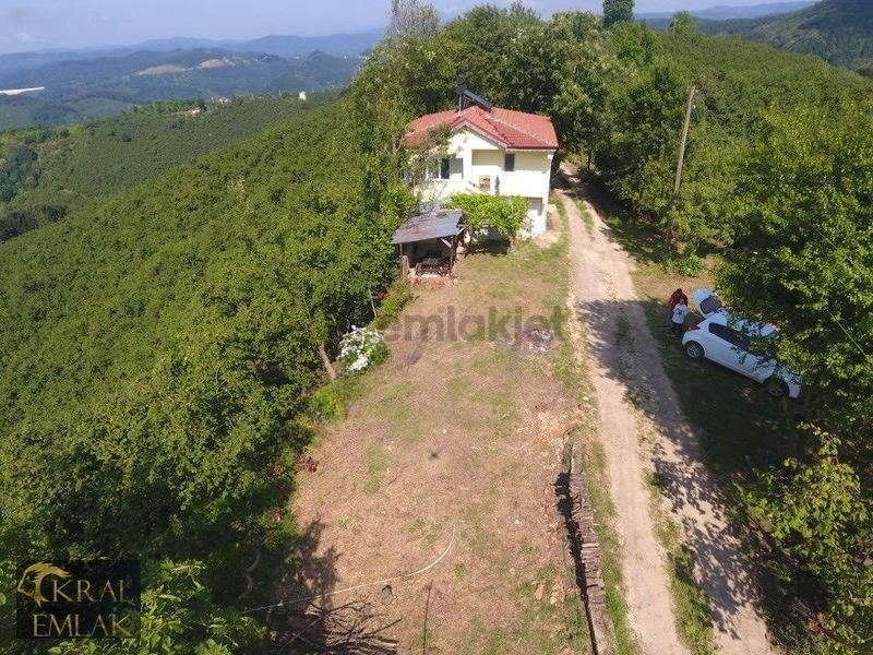 Deredibi Köyü İçinde Evi Olan 19.000 M2 Satılık Fındık Bahçesi - 9