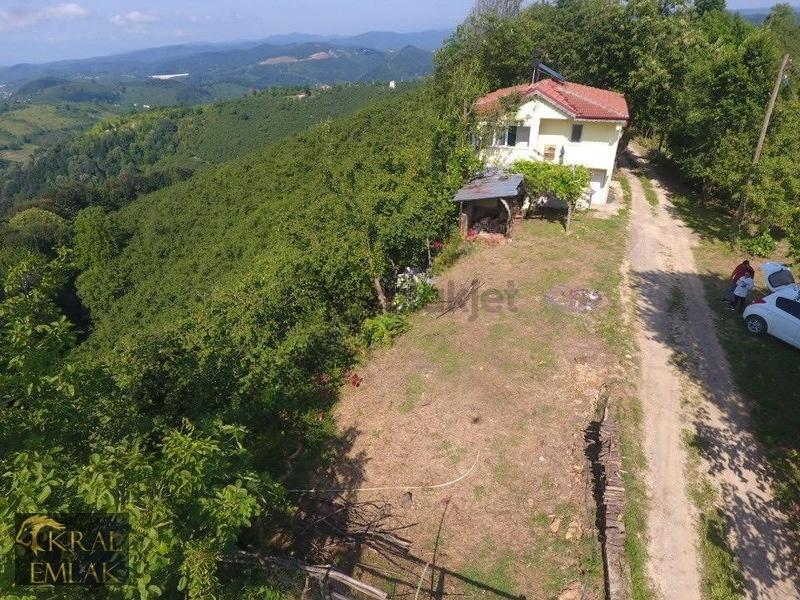 Deredibi Köyü İçinde Evi Olan 19.000 M2 Satılık Fındık Bahçesi - 30