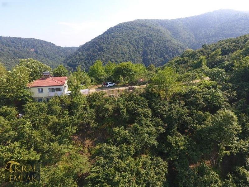 Deredibi Köyü İçinde Evi Olan 19.000 M2 Satılık Fındık Bahçesi - 10