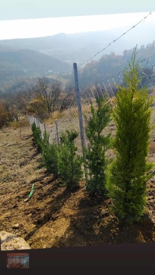 Aktaş 'tan İnegöl Karagölet Te Resmi Yola Cepe Tarla - 10