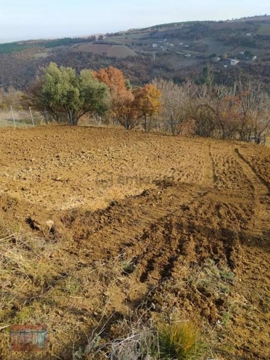 Aktaş 'tan İnegöl Karagölet Te Resmi Yola Cepe Tarla - 6