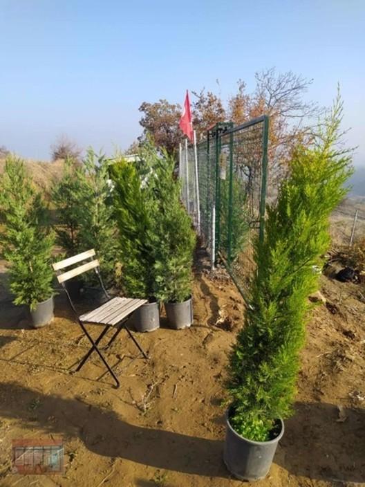 Aktaş 'tan İnegöl Karagölet Te Resmi Yola Cepe Tarla - 22