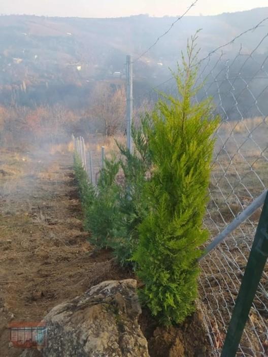 Aktaş 'tan İnegöl Karagölet Te Resmi Yola Cepe Tarla - 8