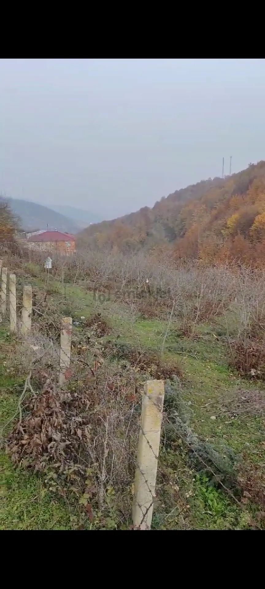 Sahibinden Kavak Karaaslan Müstakil Tarla Ve Fındık Bahçesi - 8