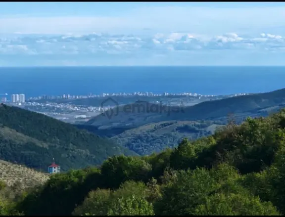 Sahibinden Kavak Karaaslan Müstakil Tarla Ve Fındık Bahçesi