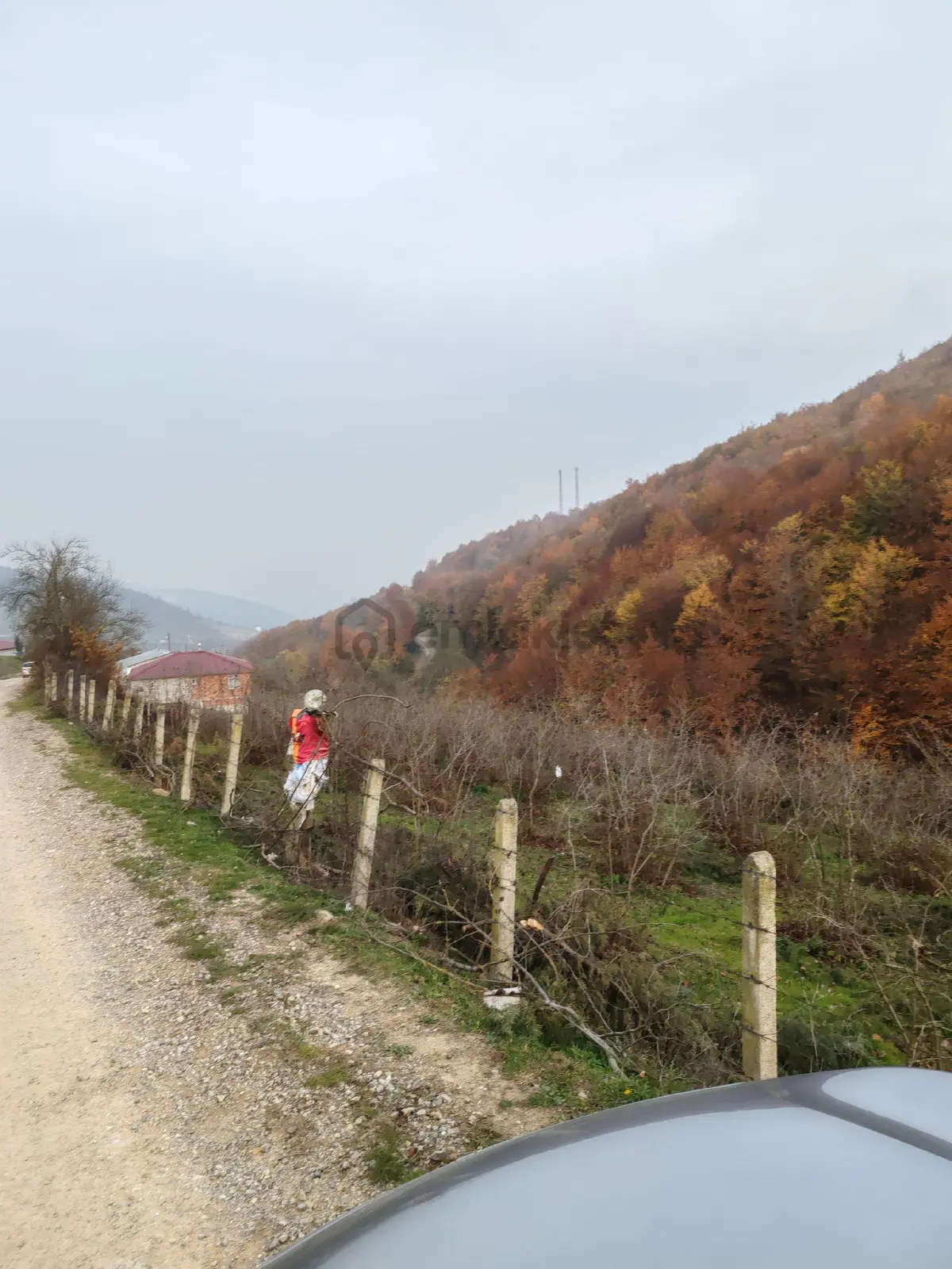 Sahibinden Kavak Karaaslan Müstakil Tarla Ve Fındık Bahçesi - 5