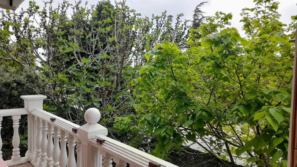 Sahibinden Muhteşem Deniz Doğa Manzaralı Denize Yürüme Mesafesinde - 7