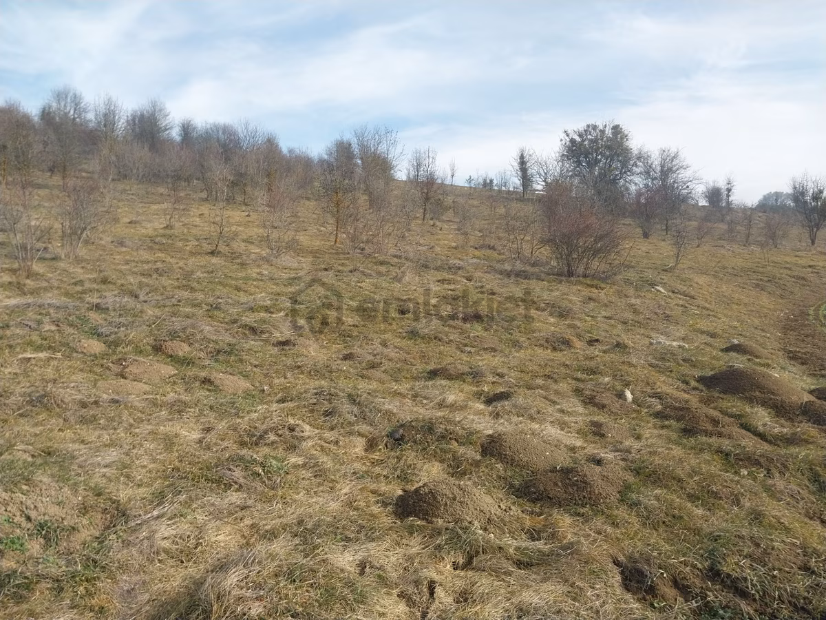 Sahibinden Kastamonu Seydiler İmrenler Köyünde Satılık Tarla - 3