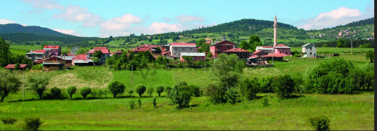 Kastamonu'da Orman İçinde Muhteşem Doğası İle Tarlalar - 6