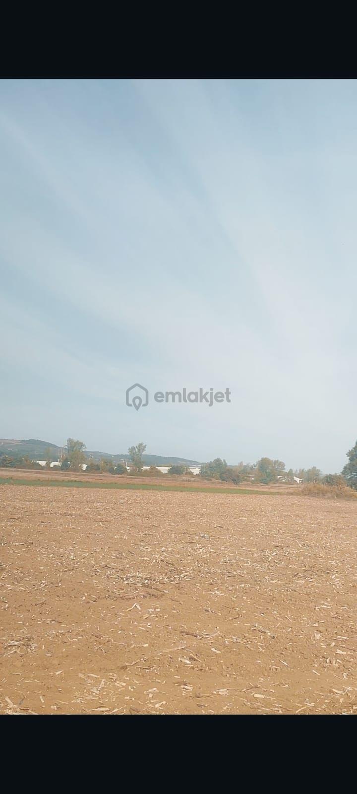 Bengisu Gayrimenkul Den Satılık Tarla - 5