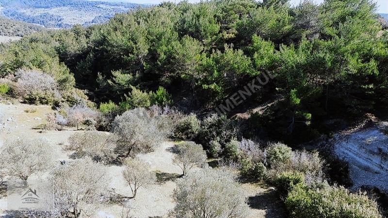 Bornova Karaçam'da Satılık 2159 M² Yatırımlık Arsa - 23
