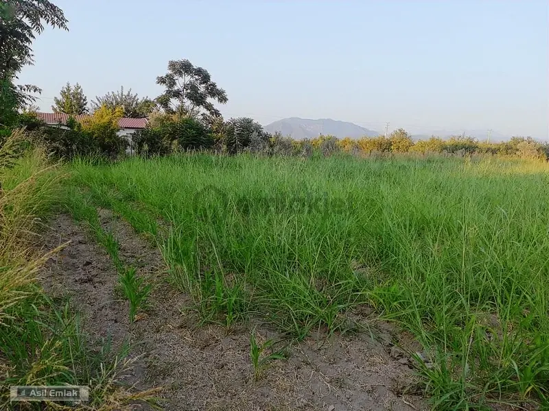 Ortaca Yeşilyurt Köyü'nde Satılık 2000m² Konut İmarlı Arsa - 16