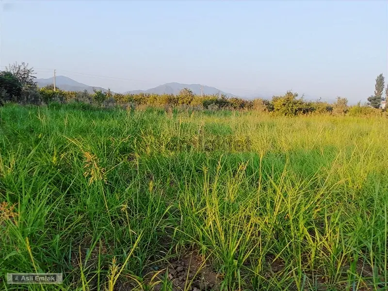 Ortaca Yeşilyurt Köyü'nde Satılık 2000m² Konut İmarlı Arsa - 19