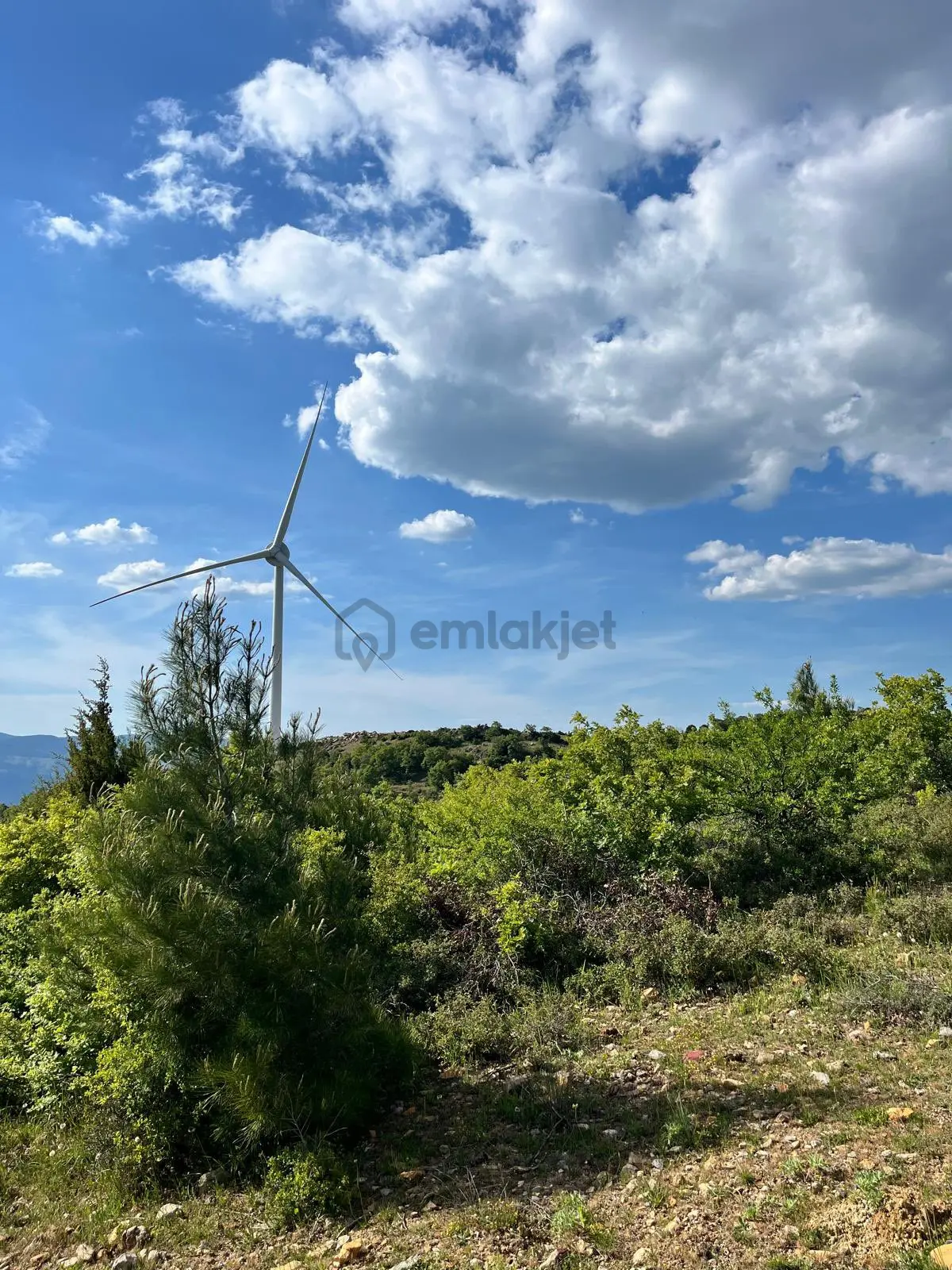 Sahibinden Satılık Tarla - 3