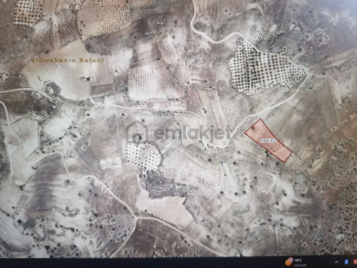 Sahibinden Acill Fiyatı Düştü. Satılık Tertemiz Ağaçsız Taşsız Tarla - 2
