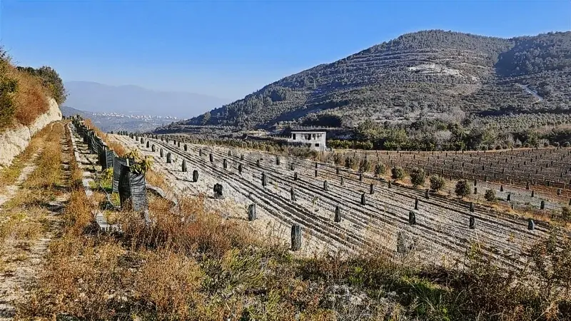 Karsiyaka Da Muthıs Arazı.. - 16