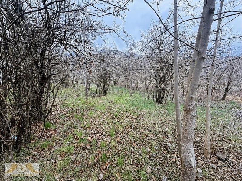 Ziyaret Satılık Bahçe - 3