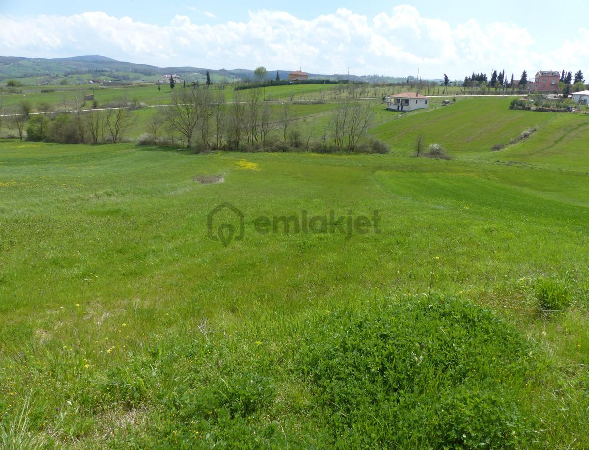Fırsat! Satılık Müstakil 2.438 M2 Tarla Körfez/şemsettin - 6