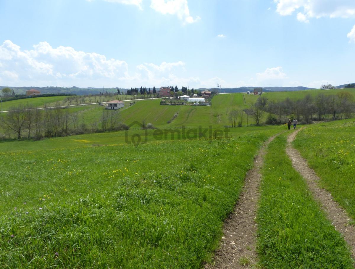 Fırsat! Satılık Müstakil 2.438 M2 Tarla Körfez/şemsettin - 13