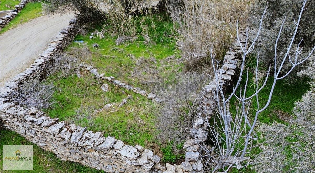 Doğanın Kalbinde Şenköyde Resmi Yollu Efsane Hobi Bahçesi - 7