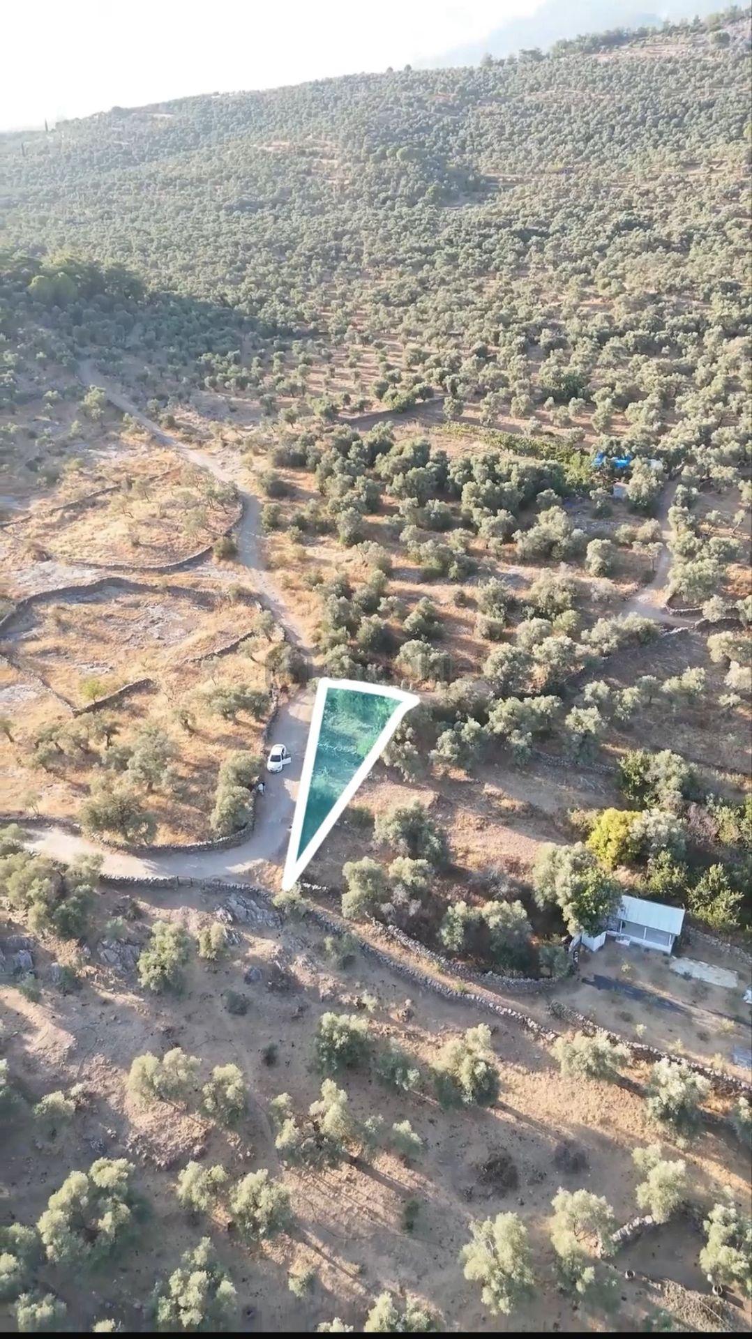 Doğanın Kalbinde Şenköyde Resmi Yollu Efsane Hobi Bahçesi - 4