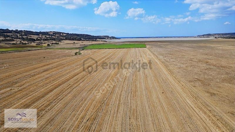 Denize Yakın Konumda Satılık 27.000 M2 Tarla
