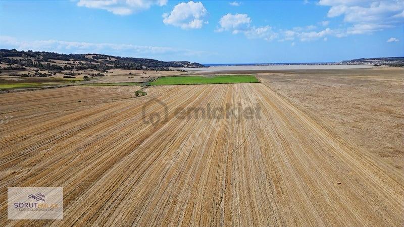 Denize Yakın Konumda Satılık 27.000 M2 Tarla - 4