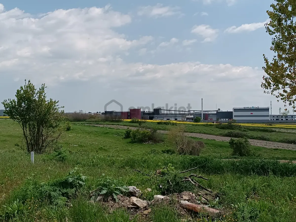 Vize Saray İstanbul Yolu Üzerinde Satılık 563 M2 Tarla