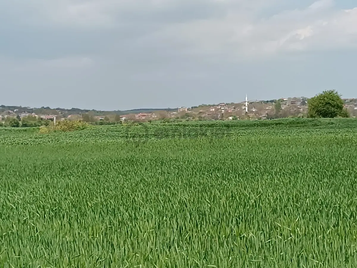 Vize Saray İstanbul Yolu Üzerinde Satılık 563 M2 Tarla - 12