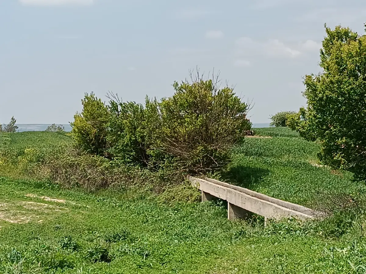 Vize Saray İstanbul Yolu Üzerinde Satılık 563 M2 Tarla - 9