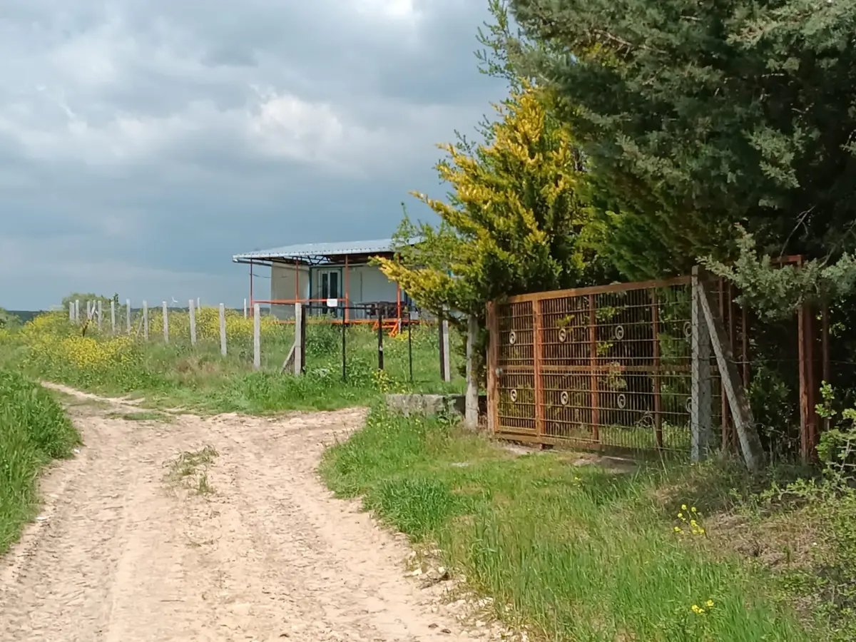 Vize Saray İstanbul Yolu Üzerinde Satılık 563 M2 Tarla - 5