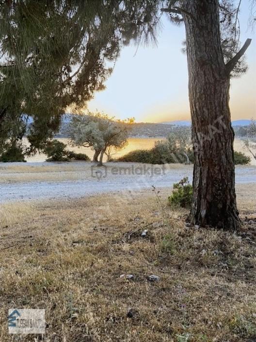 Bodrum Karşı Denize Sıfır Huzurlu Bir Yaşam - 8