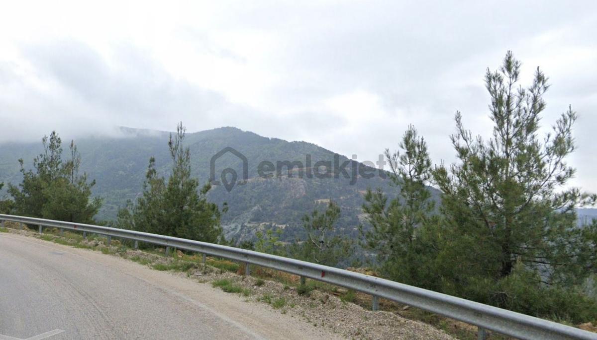 Mihalgazi Alpagut' Ta Satılık Tarla - 4